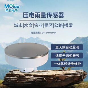 雨情水位实时检测仪雨水感应检测自动报警压电雨量传感器降水感应