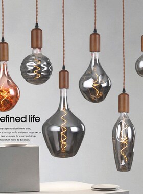 爱迪生led灯泡e27螺口复古暖光烟灰色大茶室民宿橱窗装饰艺术吊灯