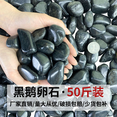 50斤黑色鹅卵石天然雨花石原石庭院园林造景铺路铺地大小石头黑石