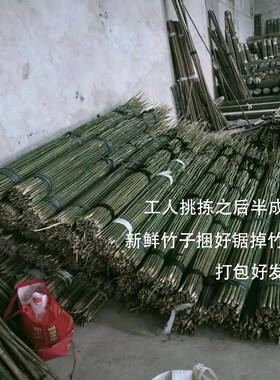 竹竿菜园搭架豆角黄瓜番茄爬藤蔬菜大棚支架彩旗2米3米竹子支撑杆