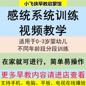 12岁感统训练课程儿童感觉统合前庭训练器材玩具测评评估 3岁