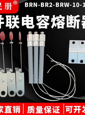 BR2 BRN BRW-10-12KV高压并联电容器10A15A25A30A45A熔断器保险丝