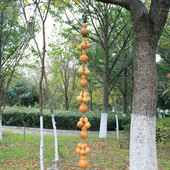 天然大小真葫芦串挂饰儿童福多招财挂件客厅装 饰手工吊饰特色门饰