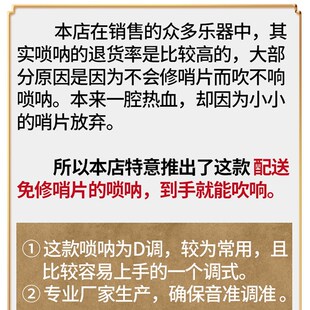 唢呐乐器全套初学者入门d调专业演奏级红白喜事老式喇叭大小索拉