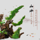 鱼缸沉木流木直立式 沉木鱼缸造景降酸软水调整PH值可放平可作摆件