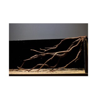 南美缸沉木枝条南美缸造景沉木鱼缸造景木组合套餐神仙缸布景木头