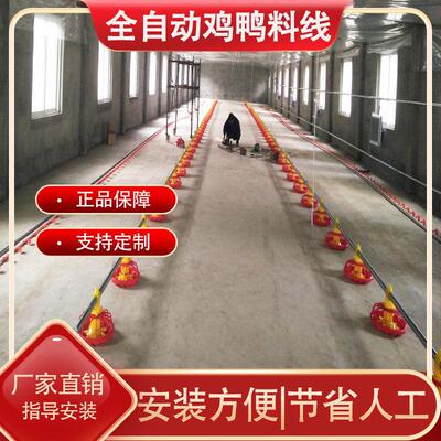 养鸡场全自动喂料机料线水线全套养殖设备平养鸡鸭棚饮水器喂食器