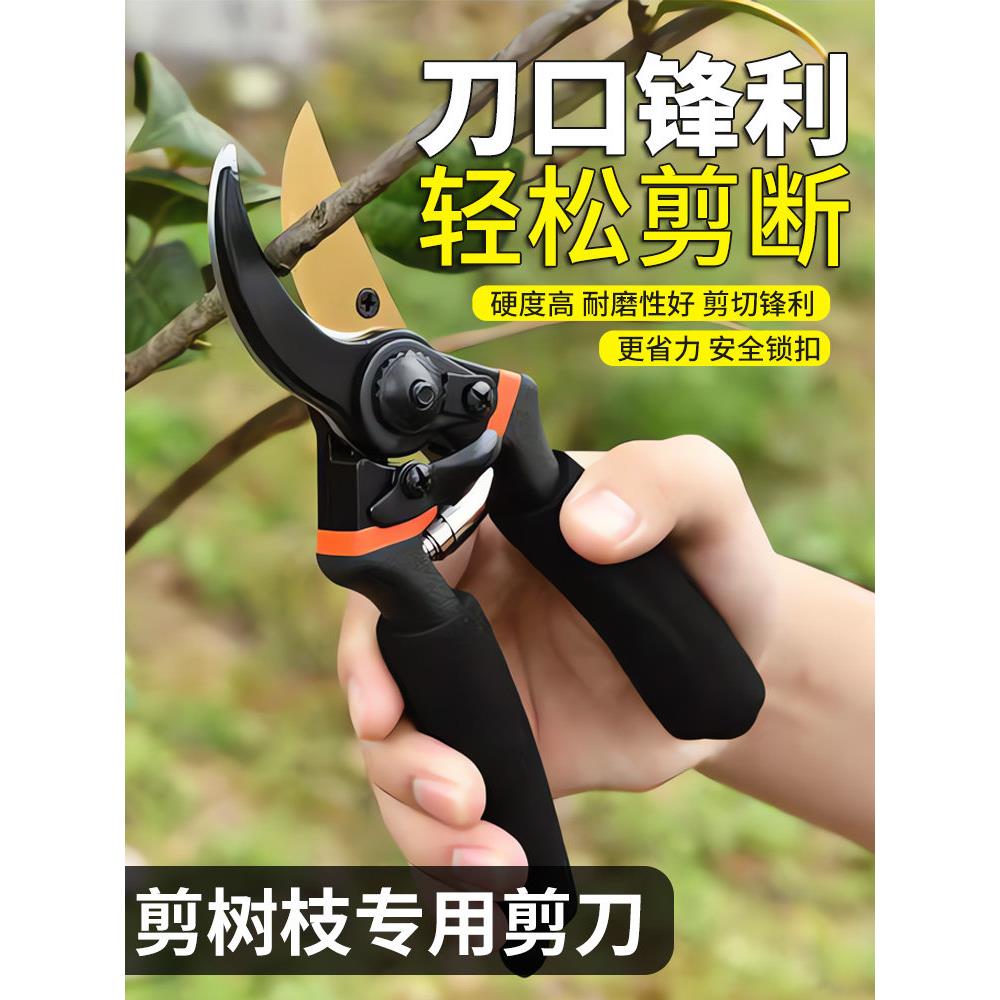 采购产品园艺修剪树枝专用剪刀,盆栽修剪剪刀,家用粗树枝,果树