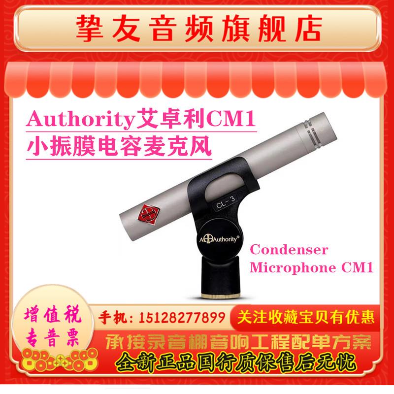 艾卓利 CM1小振膜麦克风BM1电容话筒会议演讲大合唱录音专业乐器