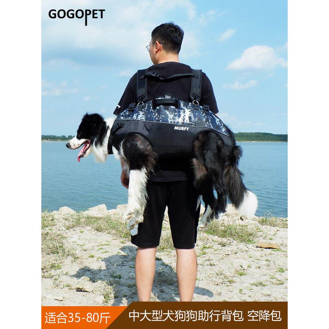 采购产品中型和大型狗的宠物背包，狗背包，狗背包，便携的城外狗