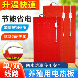 仔猪用电热板母猪产床保温加热板小猪仔保温板兽用养殖设备器械