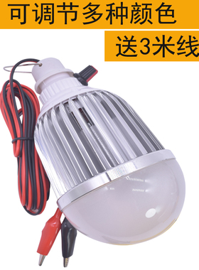 12VLED调色水果灯夜市灯电动三车车48V60V生鲜灯红色灯地摊灯调光