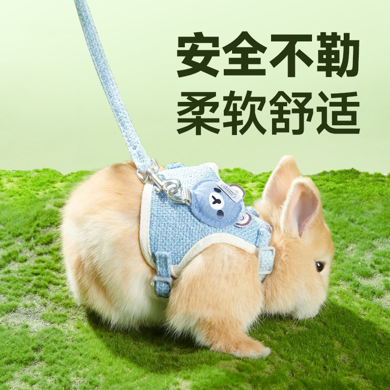 兔绳胸背带 外出溜兔子牵引绳子 防挣脱透气舒适垂耳兔 兔子用品,宠物/宠物食品及用品,兔绳,淘宝优惠券,粉丝福利购,淘宝优惠卷