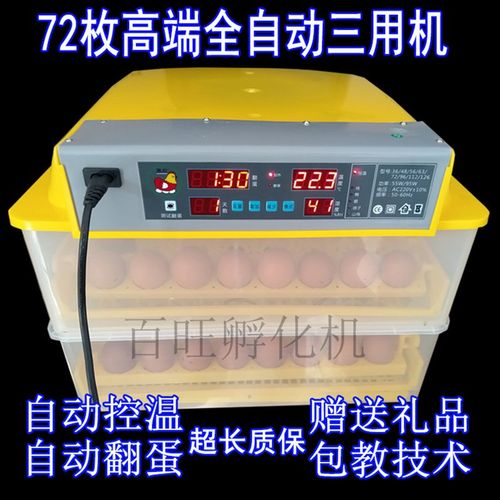鸡蛋抱蛋器鸭蛋浮蛋箱家庭全自动卵化机孵化器配件全套电乳小鸡器