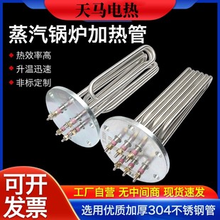 140MM法兰蒸烫机加热管水箱锅炉大功率电热管220V 380V蒸汽发生器