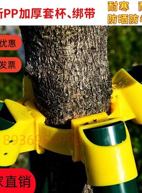 树木支撑架钢管固定器行道大树支撑杆乔木防风园林烤漆镀锌树支撑