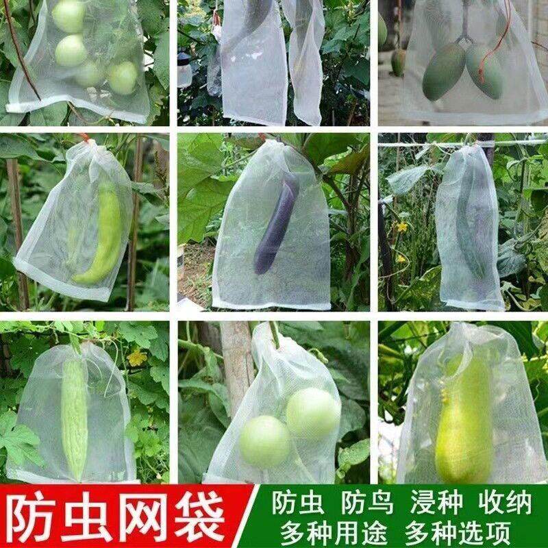 水果套袋防鸟虫网袋专用尼龙育种袋葡萄番茄保护套枇杷纱袋透气袋