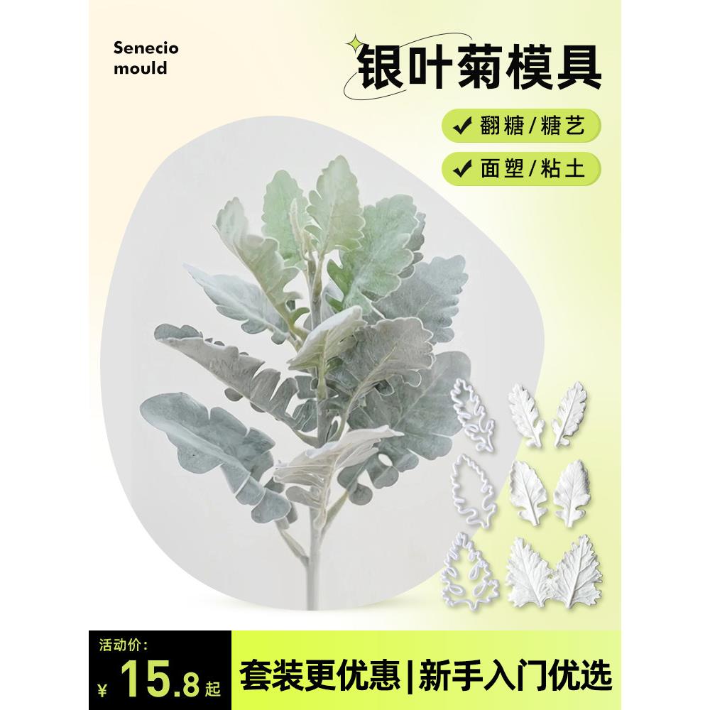 翻糖银叶菊切压模 英式糖花瓣叶子纹路硅胶模具粘土糖艺捏塑磨具