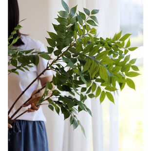 芙菡家居大号仿真紫藤叶绿植高端客厅电视柜玄关假花艺摄影道具