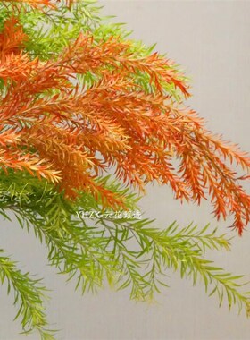 【云花甄选】油画色红色橙色黄绿色千层金组合鲜切枝云南直发空运