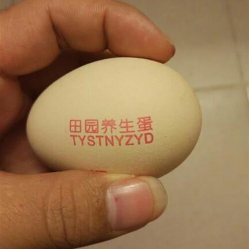制作鸡蛋印章印字软胶章logo鸡蛋商标印章软盖鸡蛋壳印章1个包邮