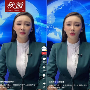 秋微雪纺衫新款白色衬衣休闲修身打底衫春秋女装立领花边无袖衬衫