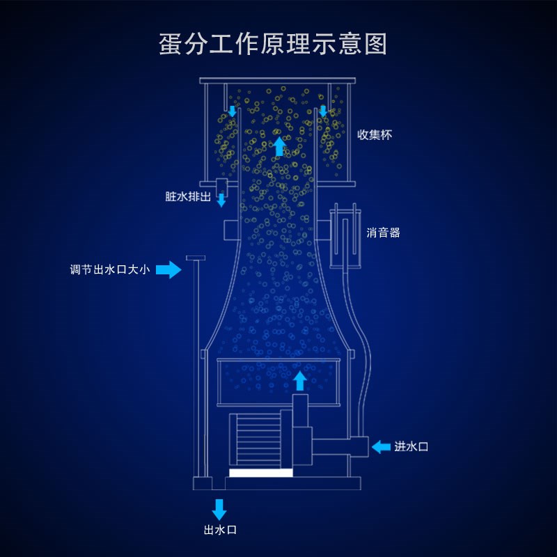 海水缸蛋分 海水缸蛋分白离器 防爆冲 6级变频可调蛋分泵 蛋分器