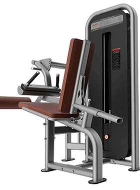 坐式曲腿训练器Entra?neur de flexion des jambes assis