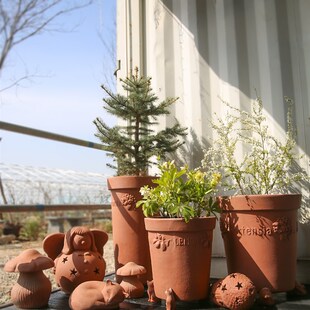 爱上花园红陶粗陶花盆陶盆器陶缸超大透气室外花园柠檬浮雕椭圆盆