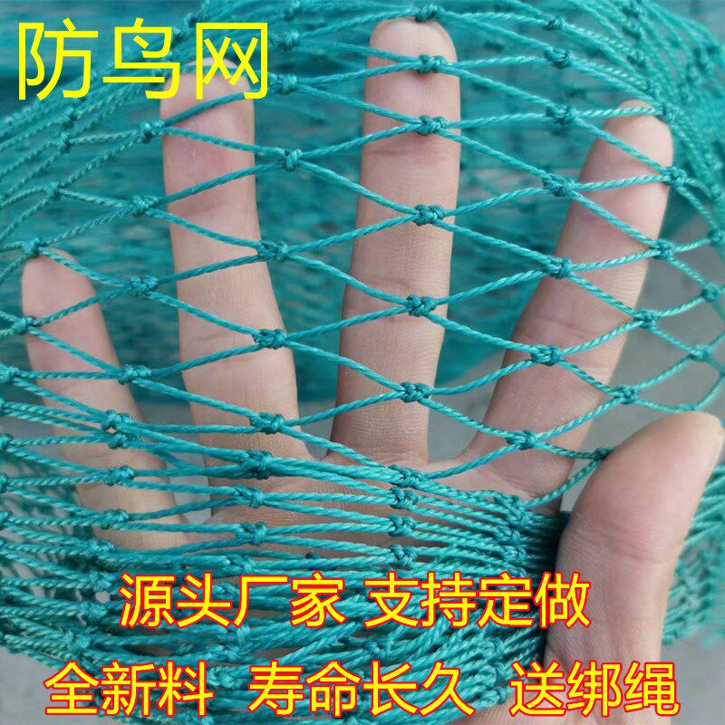 防鸟网山鸡网尼龙养殖网围栏网菜园网拦鸡网果园防鸟网