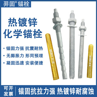 热浸镀锌化学螺栓高强度热浸锌倒锥形化学锚栓膨胀螺丝M12M16M20M