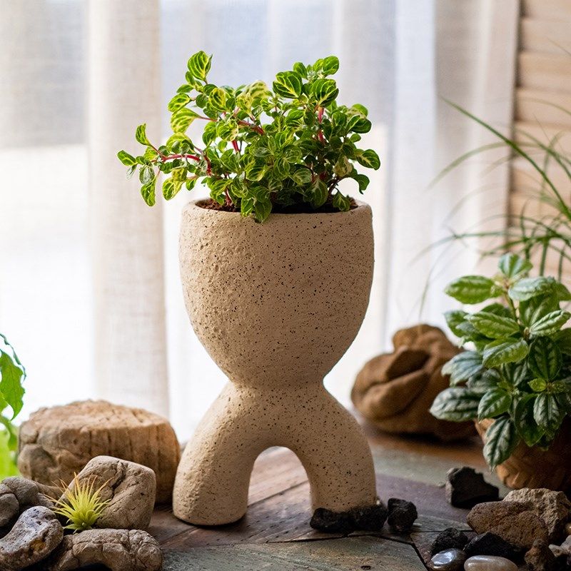 创意花盆水泥个性抽象艺术花器花园装饰摆件园艺多肉花盆陶瓷透气,鲜花速递/花卉仿真/绿植园艺,花盆,淘宝优惠券,粉丝福利购,淘宝优惠卷
