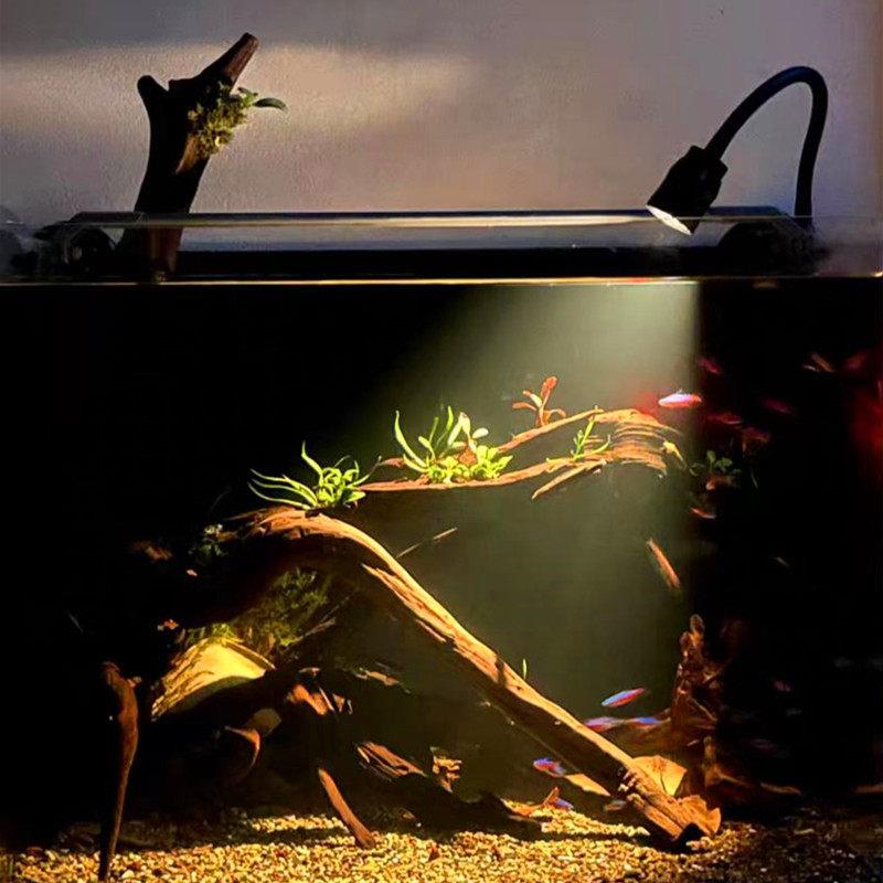 变焦南美鱼缸射灯原生三湖造景专用灯水草灯鱼缸灯照明灯led防水