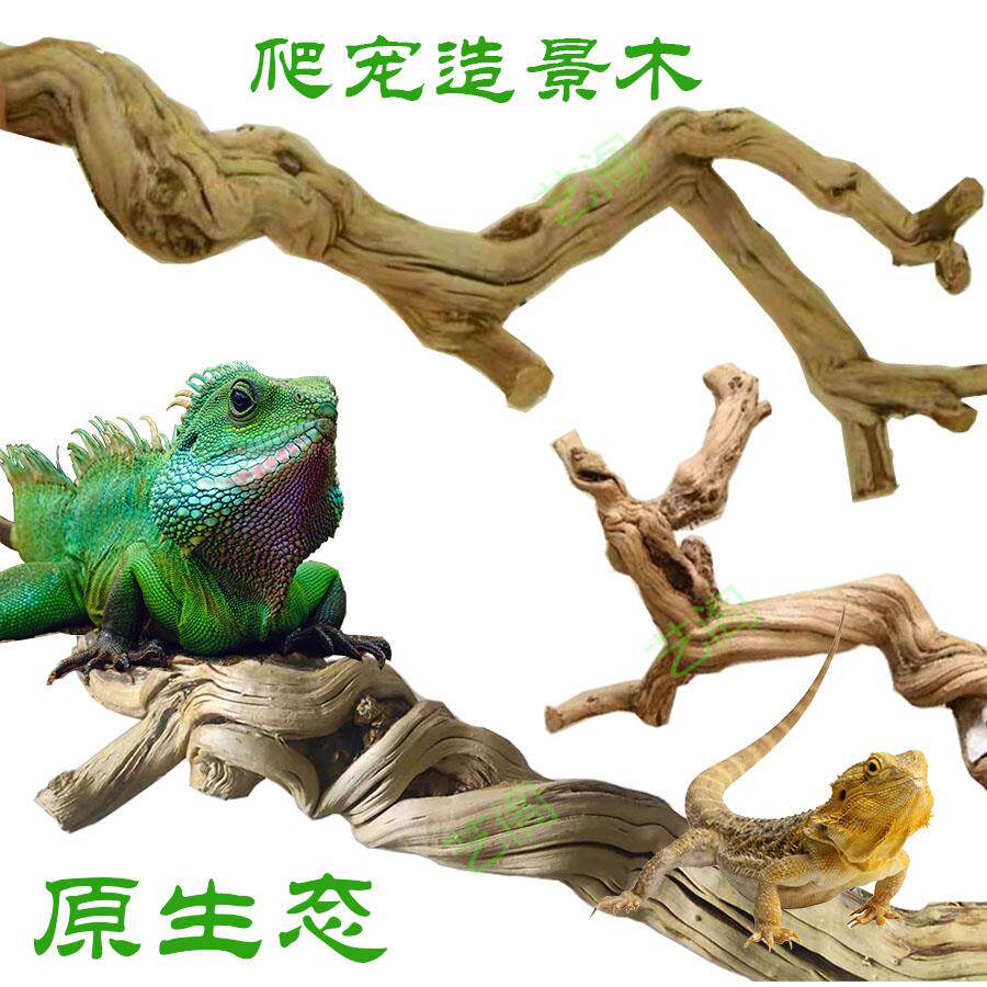爬宠造景枯木 鬣鬃狮蜥蜴攀爬台 睫角守宫饲养树枝 爬虫箱配件