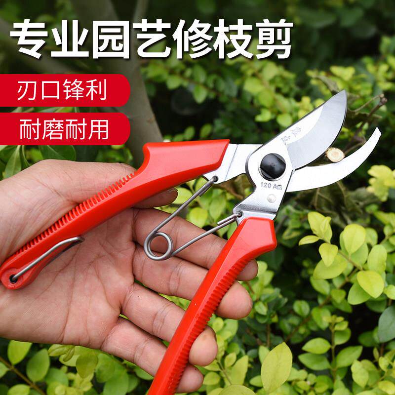 修枝剪老农友120NS修枝剪-园艺剪-花剪刀-果树剪-园林工具手剪120图片