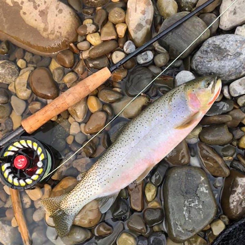 MAXCATCH飞蝇钓 4节2.7米飞杆 溪流竿布竿桶 碳素竿飞钓竿,户外/登山/野营/旅行用品,溪流竿,淘宝优惠券,粉丝福利购,淘宝优惠卷