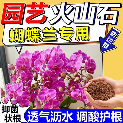 火山石蝴蝶兰专用养花盆栽多肉铺面垫底防闷根不积水园艺级小颗粒