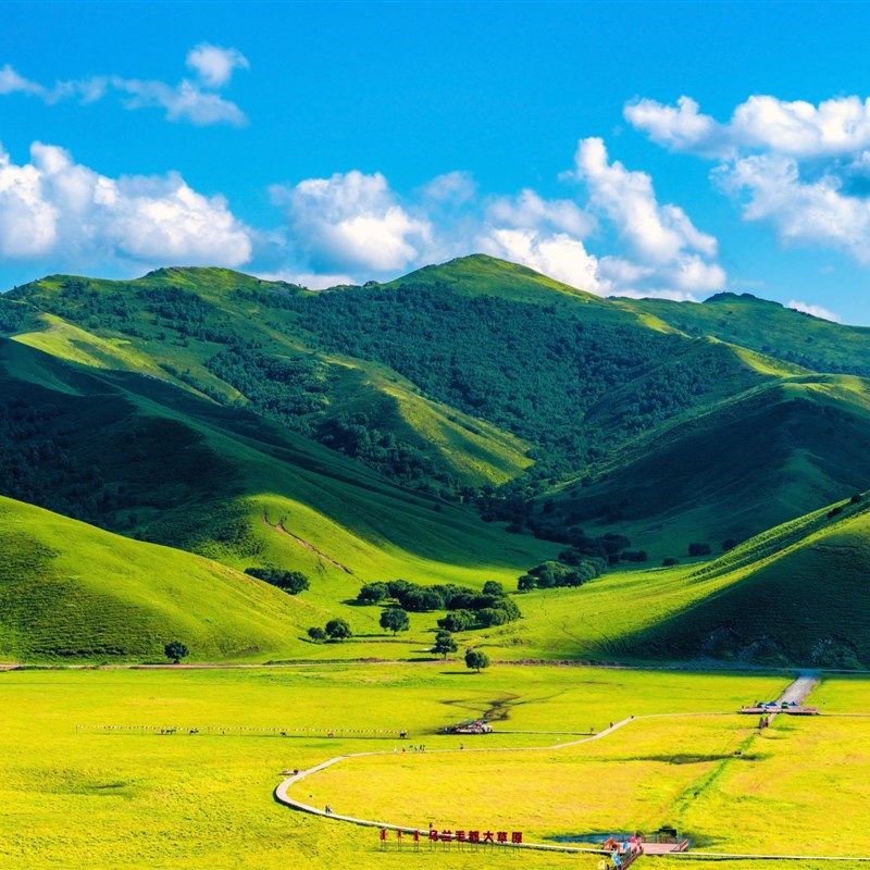FJ01150好寓意靠山大山蓝天白云蒙古草原风景无水森林背景墙壁画
