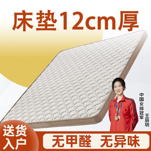 床垫12cm厚加硬椰棕天然纯乳胶护腰脊家用卧室酒店定制单人薄粽榈
