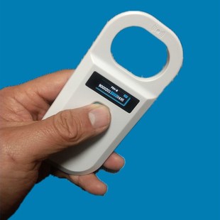 宠物龙鱼晶片动物羊犬只芯片电子耳标扫描仪扫码 器龙鱼芯片