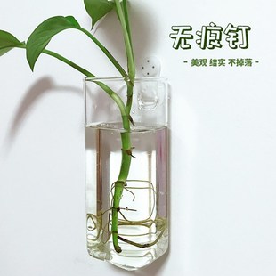 壁挂水培花瓶绿植绿萝富贵竹龟背竹红掌吊兰竹子一帆风顺玻璃花瓶