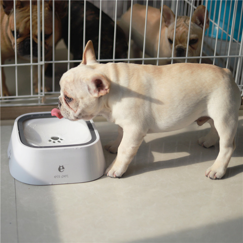 小壹狗狗不湿嘴碗饮水器猫咪水盆猫碗宠物水碗法斗不湿嘴狗碗狗盆,宠物/宠物食品及用品,饮水器/水壶/水头,淘宝优惠券,粉丝福利购,淘宝优惠卷