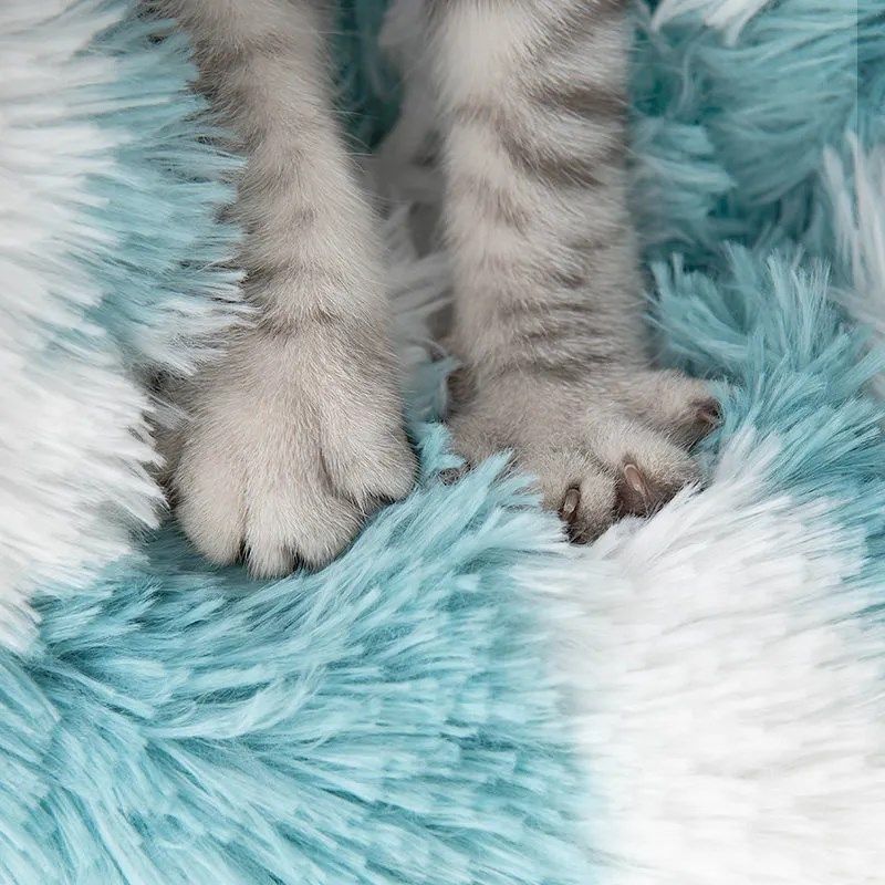 猫窝秋冬季保暖深度睡眠狗窝四季通用小奶猫蓝猫比熊窝宠物床用品,宠物/宠物食品及用品,猫窝/屋/帐篷/沙发,淘宝优惠券,粉丝福利购,淘宝优惠卷