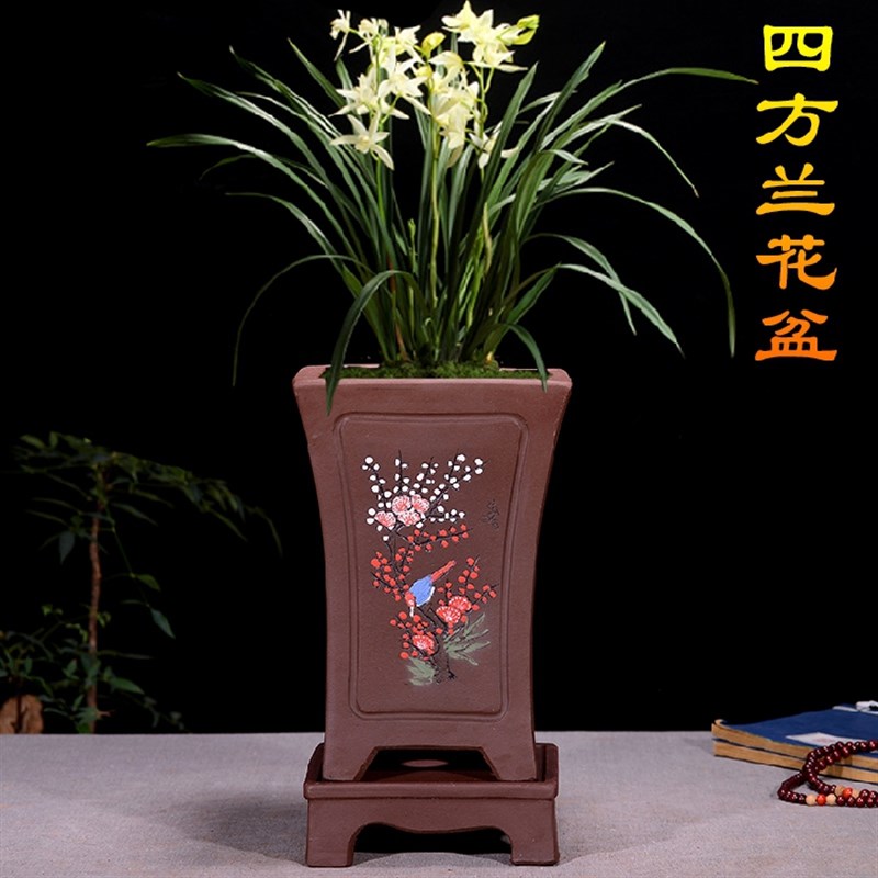 精品紫砂花盆兰花盆君子兰盆兰草盆种植花盆阳台室内盆栽陶瓷花盆