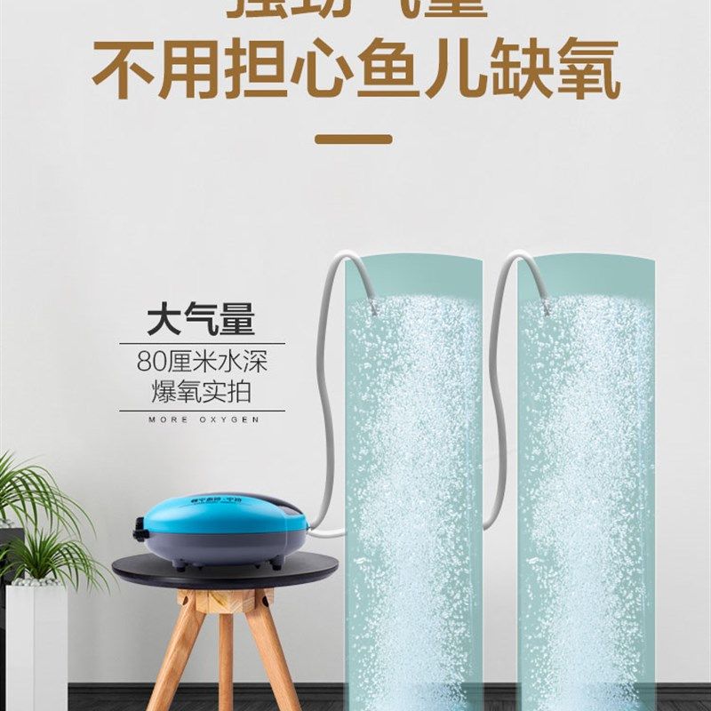 只发新疆鱼缸氧气泵超静音小型家用无声增氧泵水族箱双头打氧养鱼,宠物/宠物食品及用品,冲氧泵,淘宝优惠券,粉丝福利购,淘宝优惠卷