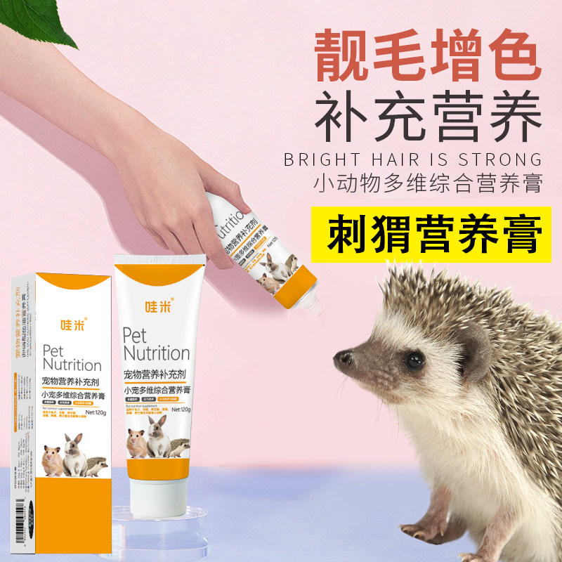 刺猬营养膏刺猬小宠营养膏怀孕宠物补充营养非洲刺猬营养补充剂,宠物/宠物食品及用品,玩具/造景装饰,淘宝优惠券,粉丝福利购,淘宝优惠卷