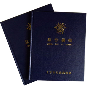 成文厚 借贷式82总账总分类账本账册财务会计手工记账本小总分类