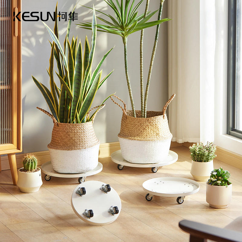 可移动花盆托盘带轮子花盘底座室内绿植接水盘家用加厚碳钢花架,住宅家具,花架/花几,淘宝优惠券,粉丝福利购,淘宝优惠卷