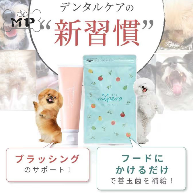日本益生菌粉洁齿凝胶狗狗可食用