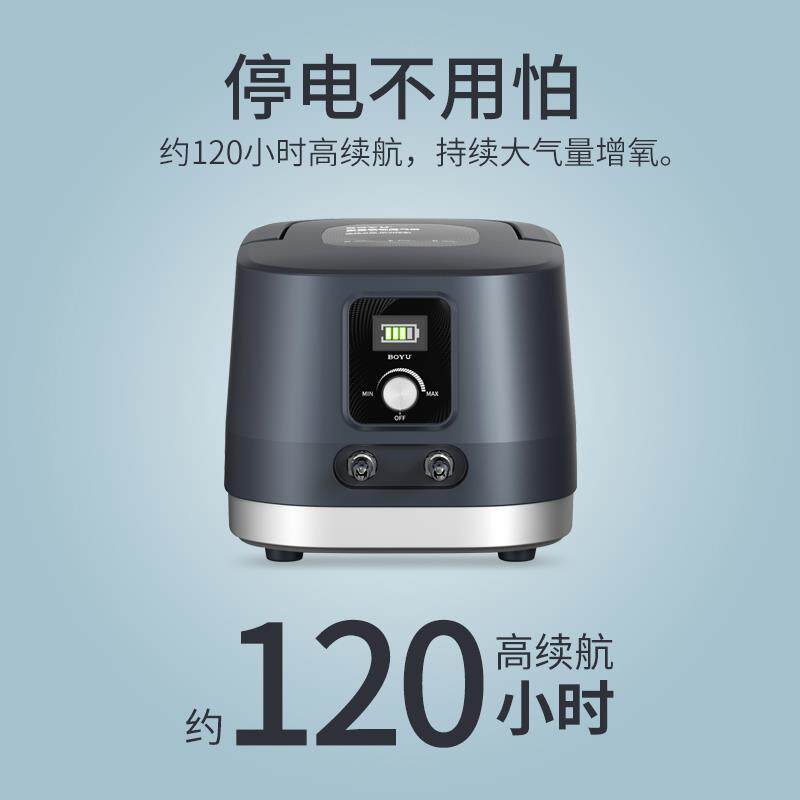 博宇大功率鱼池增氧泵大气量大鱼缸供氧冲氧交直流两用氧气泵DAP